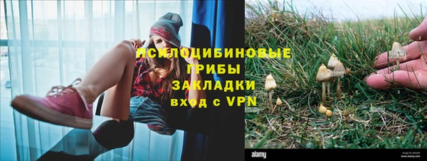 mdpv Богородск