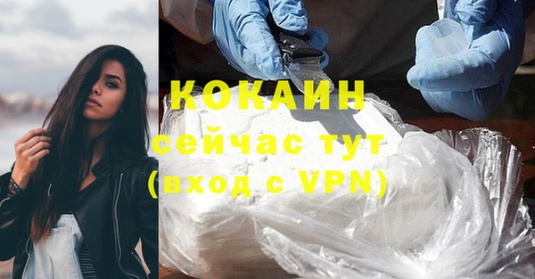 mdpv Богородск