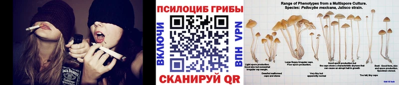 нарко площадка Telegram  Армавир  Галлюциногенные грибы Cubensis 
